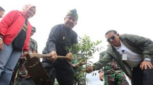 wawali yana saat menanam pohon