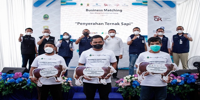 Kepala Dinas Ketahanan Pangan dan Peternakan Provinsi Jawa Barat, Jafar Ismail, menyampaikan bahwa Jabar saat ini harus mampu menjawab tantangan bidang peternakan sapi potong. Hal tersebut ia sampaikan karena dengan jumlah penduduk Jabar lebih dari 50 juta jiwa dan konsumsi sapi potong 205 ribu ton per tahun, ternyata hanya 25 ribu ton saja yang mampu dipasok oleh peternak Jabar. Sementara sisanya dipenuhi dari daerah lain. Perihal tersebut mengemuka dalam kegiatan Business Matching Petani Milenial Komoditas Sapi Potong yang digelar di Sumedang pada Rabu 27 Oktober 2021.
