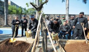 Sebagai upaya mitigasi perubahan iklim, Pemerintah Kota (Pemkot) Bandung mencanangkan kegiatan OTW (On The Way) Bandung Teduh. Sebagai langkah awal, Pemkot Bandung menanam 100 pohon pule di Jalan Sudirman (antara Perempatan Jalan Gardu Jati hingga Jalan Jamika). "Pohon pule ini rindang, cukup kuat. Sehingga pohon ini cocok dan bermanfaat untuk mengantisipasi tekanan udara yang saat ini terasa memanas. Pohon ini memiliki kontribusi bagi perbaikan lingkungan," kata Plh Wali Kota Bandung, Ema Sumarna pada pencanangan OTW Bandung Teduh, di Jalan Sudirman, Kamis 3 Agustus 2023. Menurut Ema, dipilihnya pohon pule memiliki kemudahan untuk dirawat. Salah satunya pohon tersebut daunnya tidak mudah gugur.