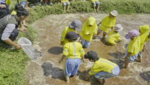 Sebanyak 39 anak berseragam kuning dari Kelompok Belajar (Kober) Al Muhajirin berlarian ke kandang ayam dan domba di Sein Farm, Selasa 8 Agustus 2023. Mereka berebutan ingin memberi makan hewan-hewan di sana. Riuh teriakan campur tawa saat ada domba yang mengejar minta diberi makan. "Paling suka domba. Soalnya dombanya bisa dikasih makan. Ada domba yang lari-lari, ada juga yang diem aja," kata Safira, salah satu siswa Kober Al Muhajirin. Perempuan mungil berusia 6 tahun itu juga menceritakan kegiatannya saat mengunjungi Sein Farm. Selain bermain dengan domba, ia dan teman-temannya juga main ke kandang ayam, burung puyuh, kolam ikan, dan menanam sayuran.