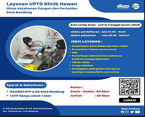 Dalam rangka memperingati Hari Rabies Sedunia, Pemerintah Kota (Pemkot) Bandung menggelar vaksinasi HPR (Hewan Pembawa Rabies) pada bulan September mendatang. Selama 1 bulan tersebut, Dinas Ketahanan Pangan dan Pertanian (DKPP) Kota Bandung akan memberikan vaksinasi secara gratis bagi hewan kucing, anjing, kera dan musang serta kastrasi kucing. Untuk vaksinasi rabies dilakukan pada tanggal 1-25 September 2023, setiap hari Senin, Selasa, Rabu dan Jumat. Kuotanya, 20 hewan per hari.
