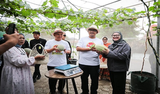 Wali Kota Bandung, Muhammad Farhan berencana mengembangkan Kampung Wisata Melon, sebuah destinasi wisata premium yang akan menghadirkan pengalaman unik bagi para pecinta buah-buahan segar. Gagasan ini muncul setelah ia melakukan panen melon hasil budidaya hidroponik di Kantor Dinas Ketahanan Pangan dan Pertanian (DKPP) Kota Bandung, Kamis 27 Maret 2025. "Saya melihat ada pengembangan hidroponik melon yang sangat bagus. Saya kepikiran untuk mengembangkan Kampung Wisata Melon di satu lokasi premium," katanya.