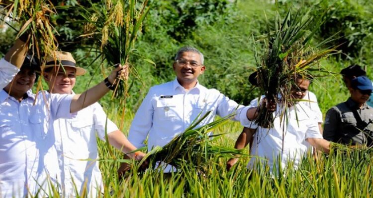 Pemerintah Kota (Pemkot) Bandung secara resmi melaksanakan Panen Raya Serentak Tahun 2025 bersama Presiden Republik Indonesia, Prabowo Subianto yang dilakukan secara daring dari 14 provinsi di Indonesia. Di Kota Bandung, panen berlangsung di Kelompok Tani Makmur, Jalan Kali Cidurian, Kelurahan Cipamokolan, Kecamatan Rancasari, Senin, 7 April 2025.