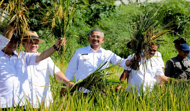 Pemerintah Kota (Pemkot) Bandung secara resmi melaksanakan Panen Raya Serentak Tahun 2025 bersama Presiden Republik Indonesia, Prabowo Subianto yang dilakukan secara daring dari 14 provinsi di Indonesia. Di Kota Bandung, panen berlangsung di Kelompok Tani Makmur, Jalan Kali Cidurian, Kelurahan Cipamokolan, Kecamatan Rancasari, Senin, 7 April 2025.